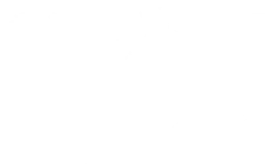 banner-shape-image